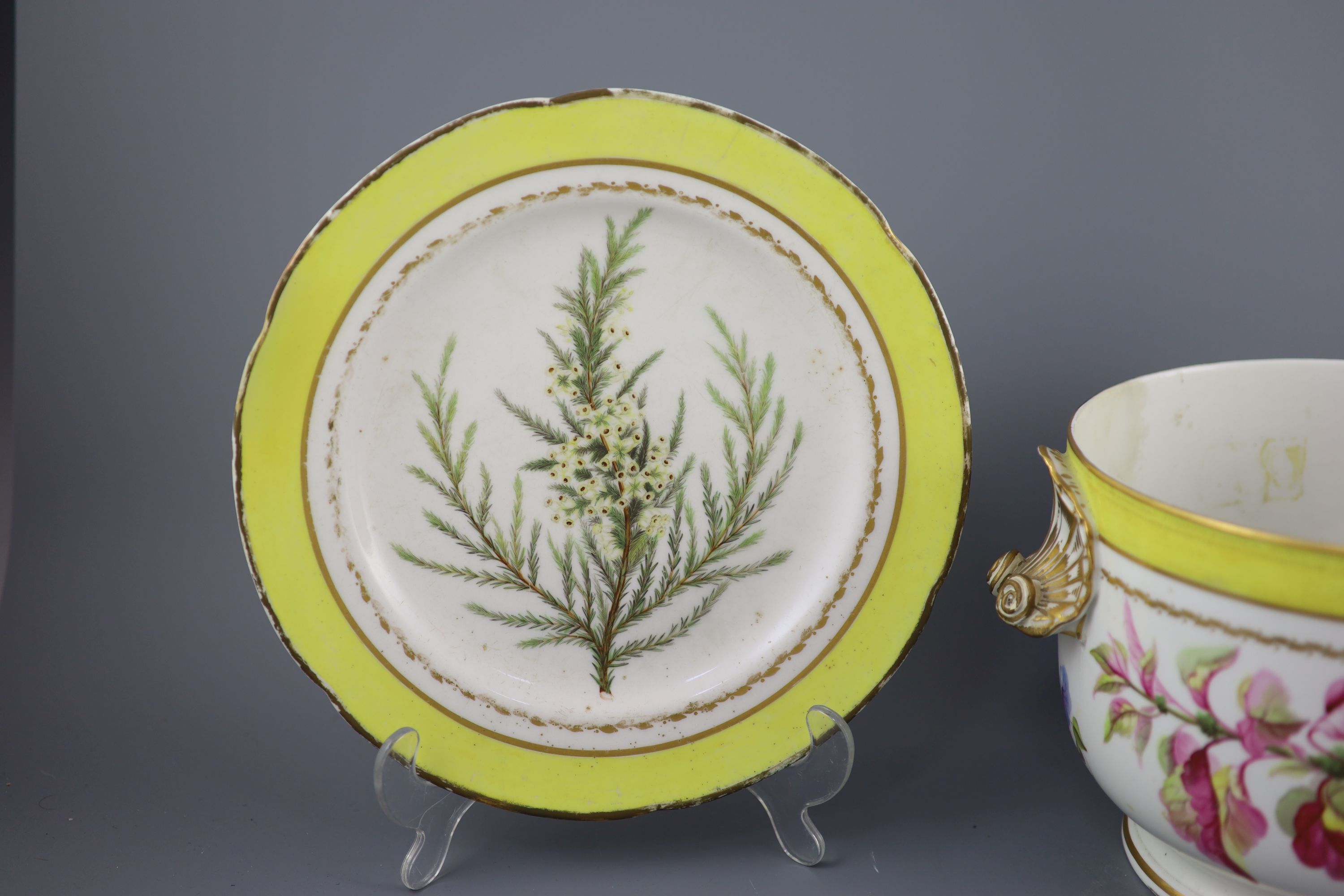 A group of Derby yellow ground botanical dessert and dinner wares, c.1790-1810